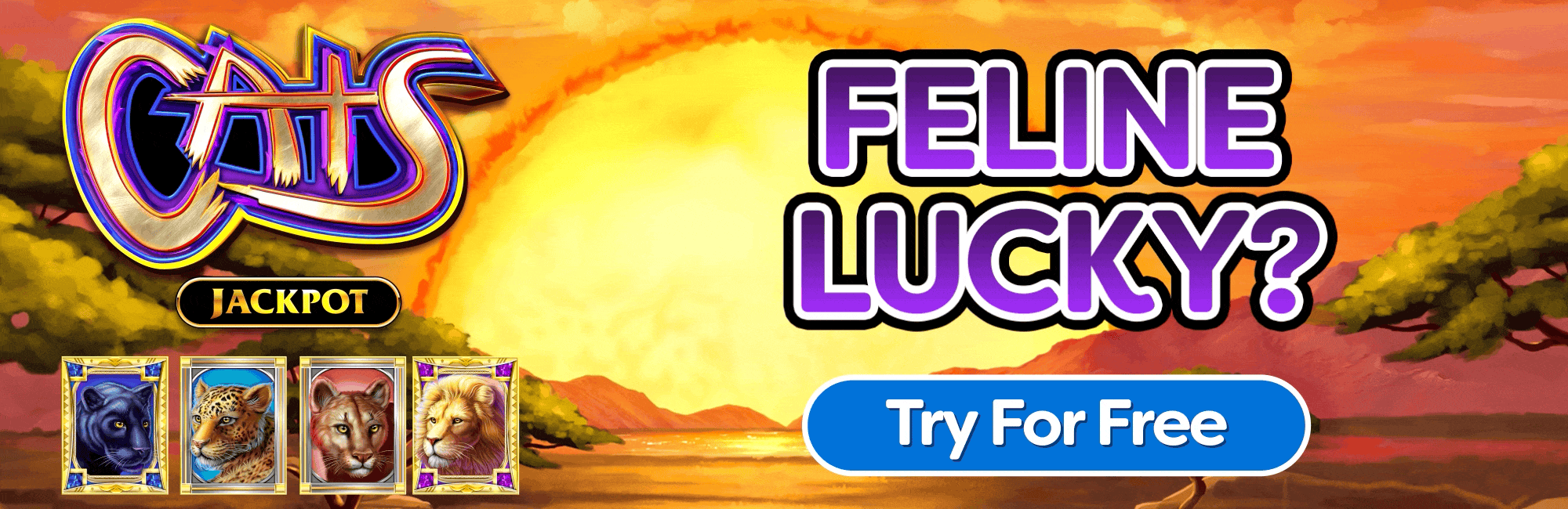 Cats Jackpot