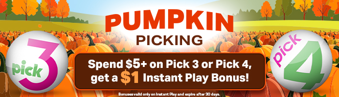 Pumpkin Picking
